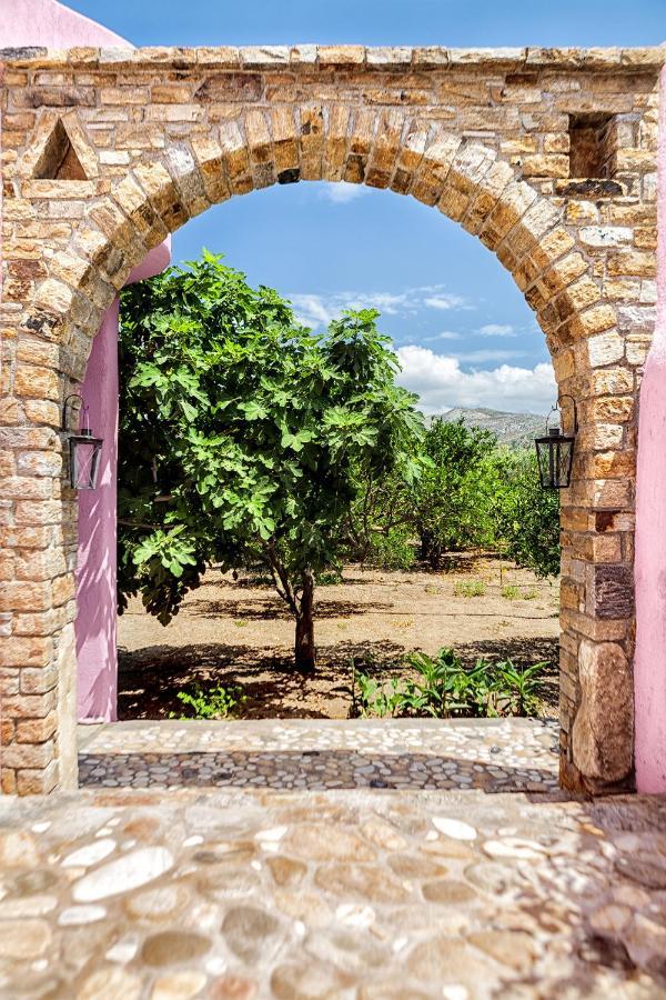 הוילה Naxos City Georgilas Cave House מראה חיצוני תמונה